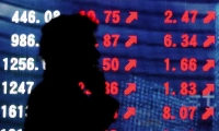 ST华西：2024年实现营业总收入25